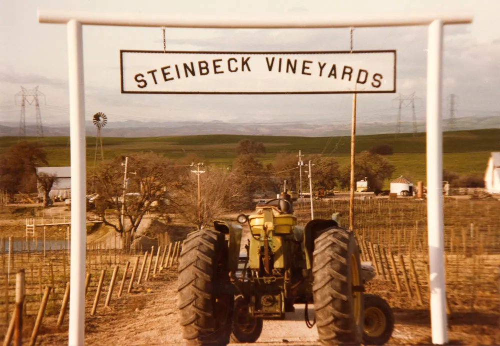 Steinbeck Vineyards, 1982.