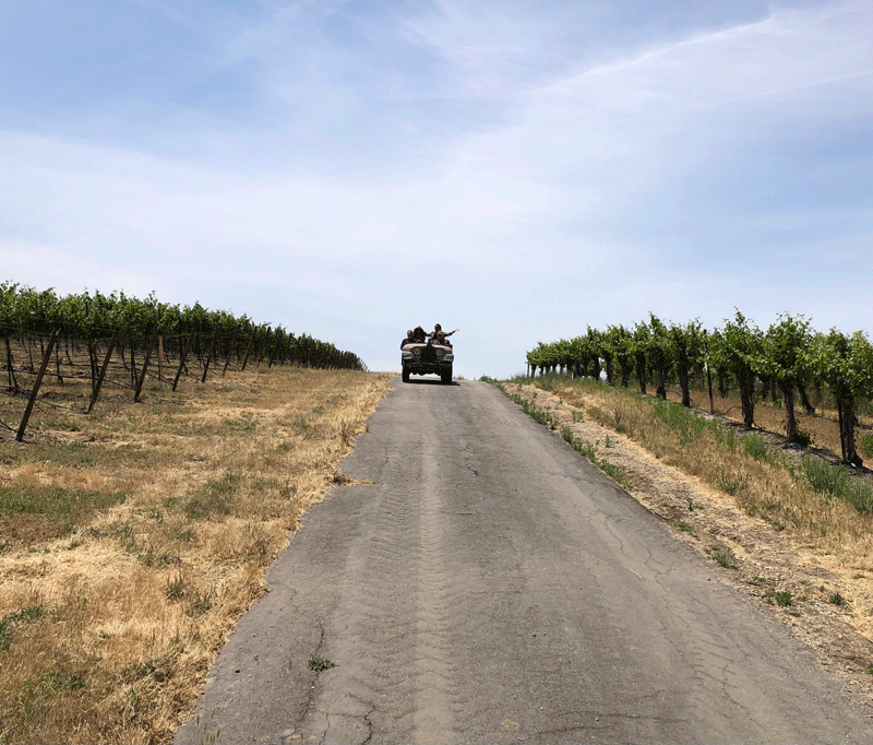 Cindy Steinbeck teaching on a tour.