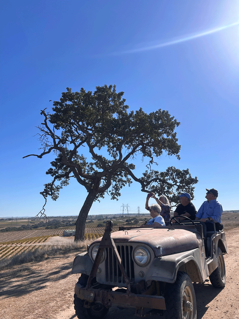 Guided Steinbeck Crash Course vineyard tour in the 1958 Jeep Willy